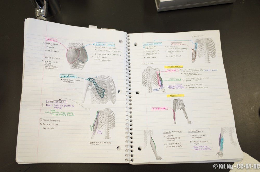 20180227_random_R010256