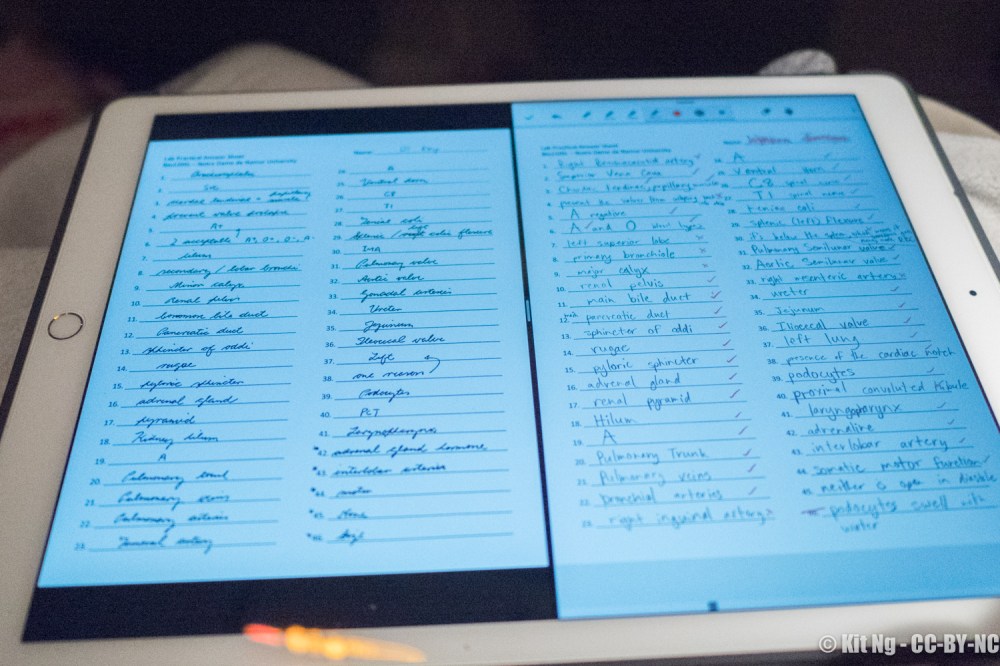 Split Screen Grading